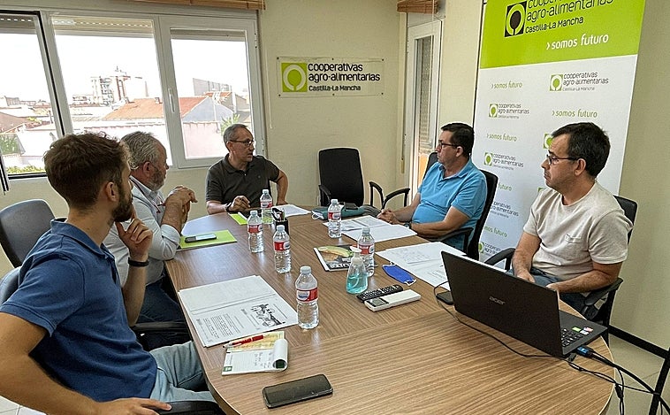 Las cooperativas esperan una cosecha menor de melón y sandía, pero de una calidad excelente