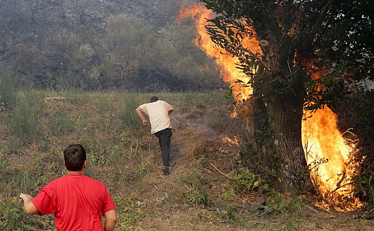 La evolución de las llamas da una tregua tras más de 30.000 hectáreas quemadas