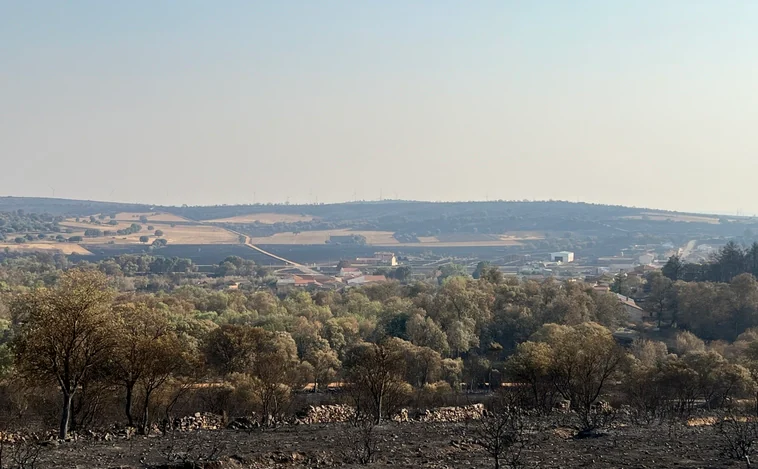 Castilla y León registra más de 190 incendios en 8 días