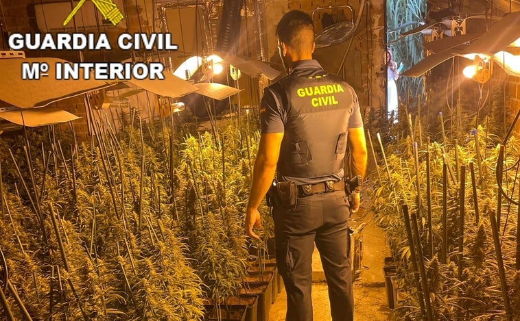 Buscan al 'jardinero' de un laboratorio de marihuana después de desmantelarlo en Santa Olalla