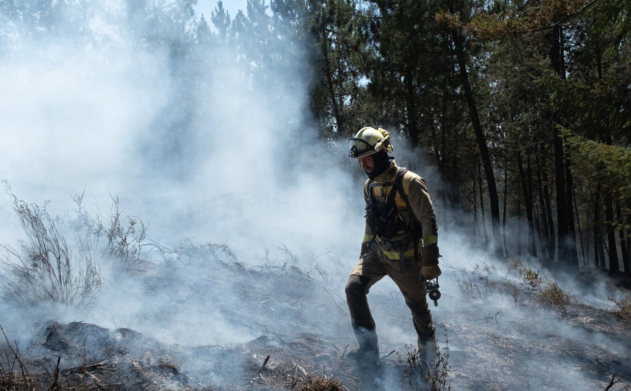 «Las vidas, las casas y matar al monstruo son nuestra prioridad»