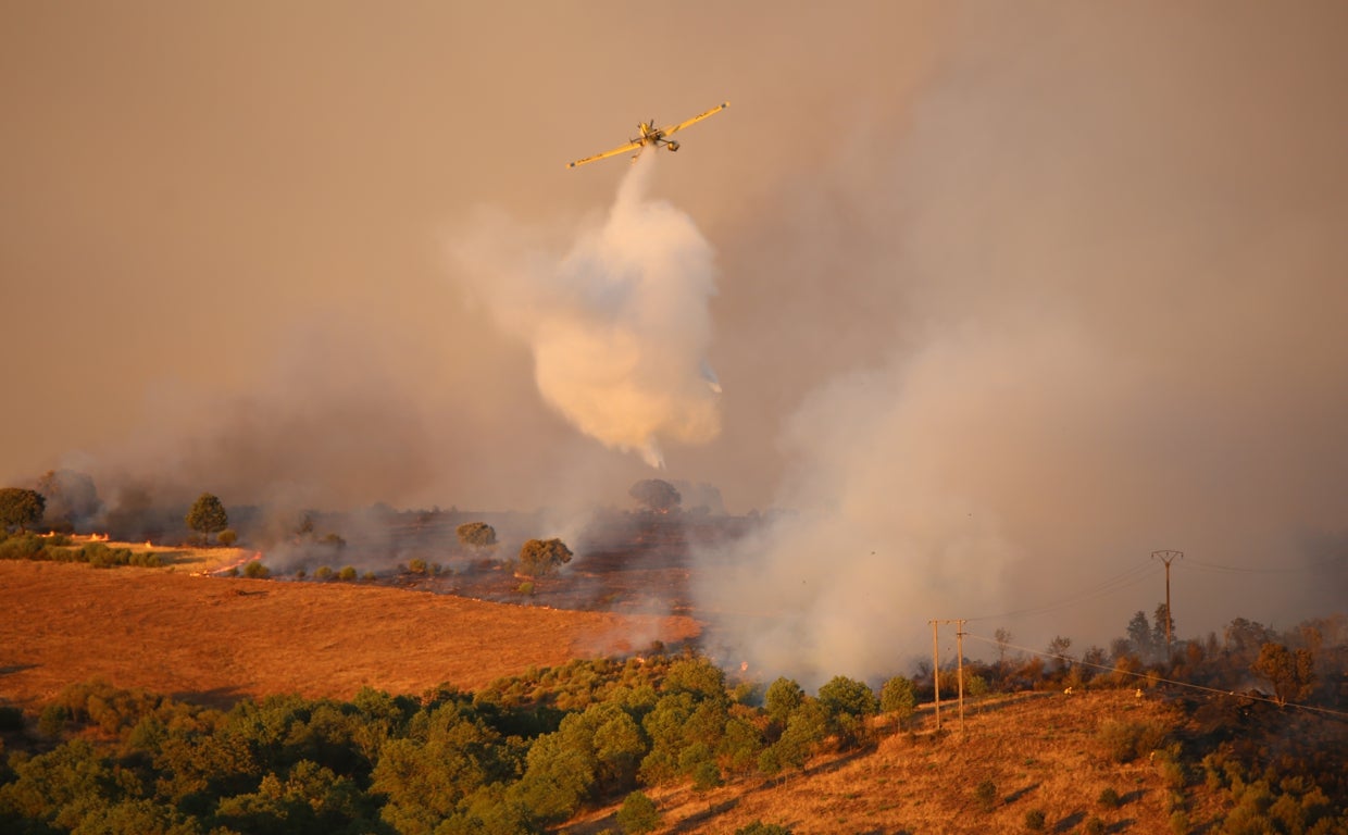 Incendio en la provincia de Zamora, en la localidad de Losacio