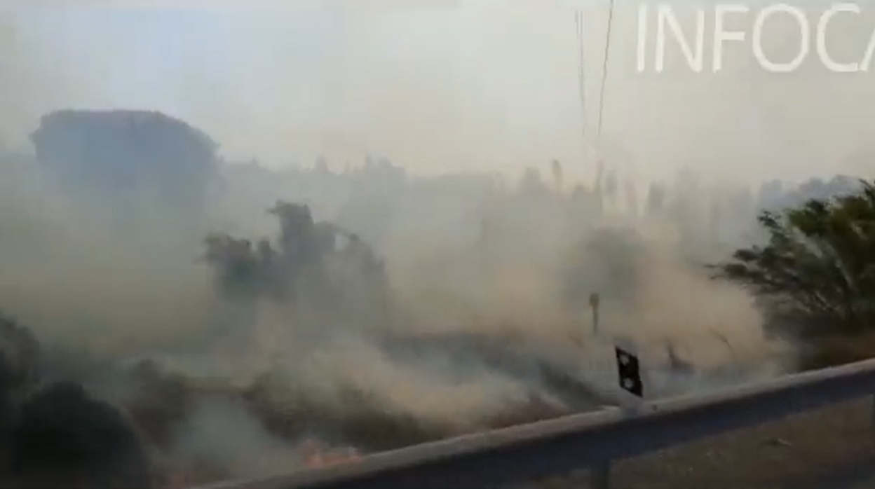 Declarado un incendio forestal en el paraje El Corchito, en Bonares