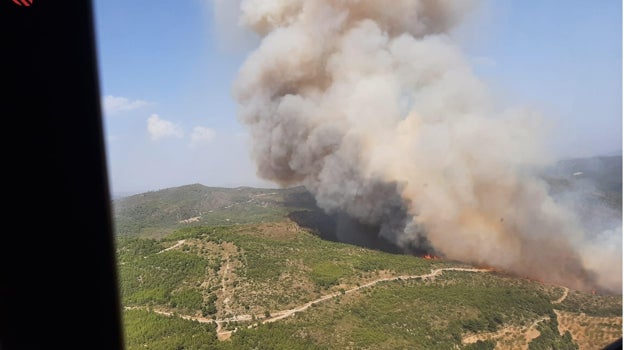 Masa forestal afectada por el incendio en el municipio valenciano