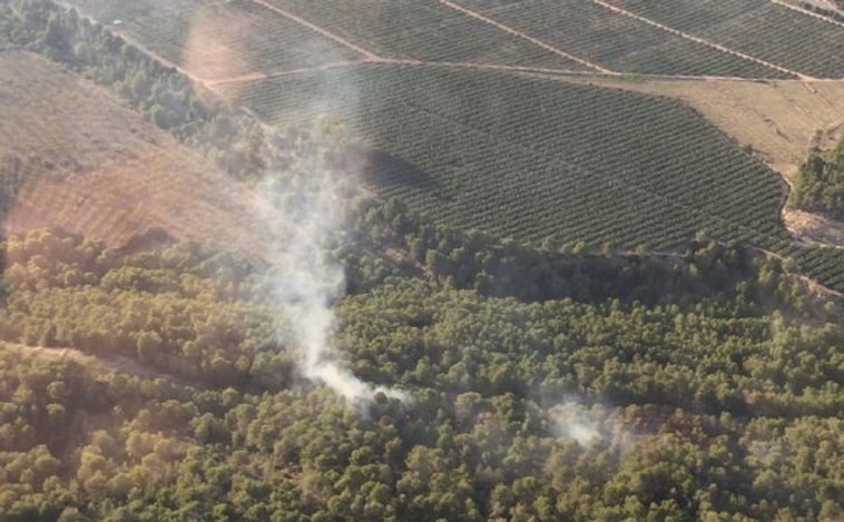 Detenido el presunto pirómano que provocó un incendio forestal en Mora d'Ebre (Tarragona)