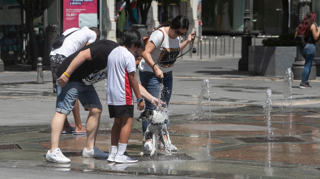 Córdoba capital alcanza su máxima anual con 43,9 y Fuente Palmera llega a los 44,5