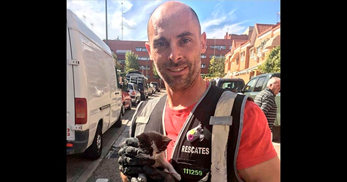 Alberto Díaz García, el bombero fallecido, con un gato recién rescatado