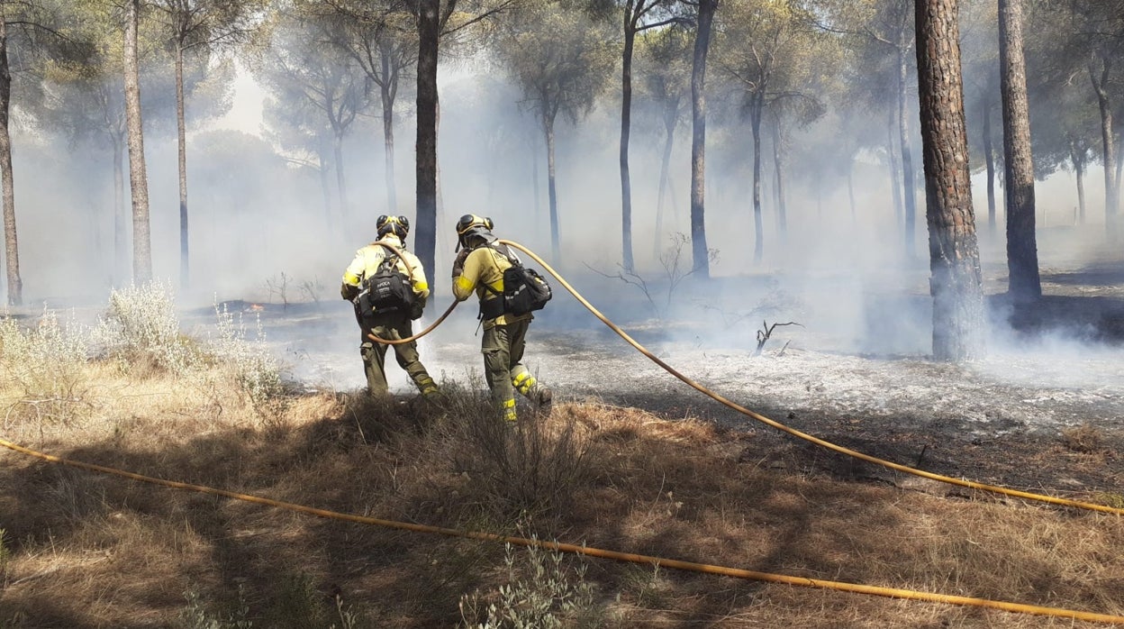 Incendio de Almonte: Reactivado el fuego en uno de los frentes