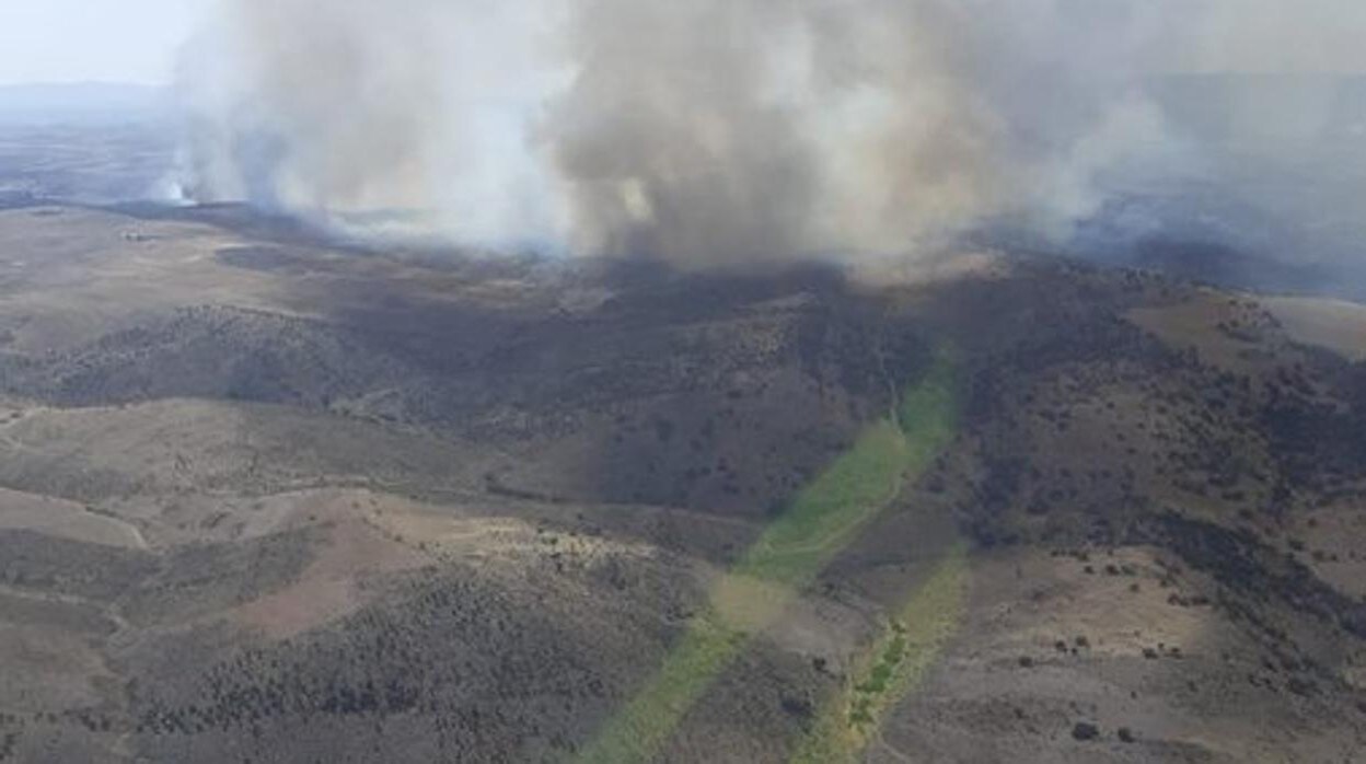 La Junta cifra en casi 1.400 las hectáreas calcinadas en los incendios de Belalcázar y Espiel