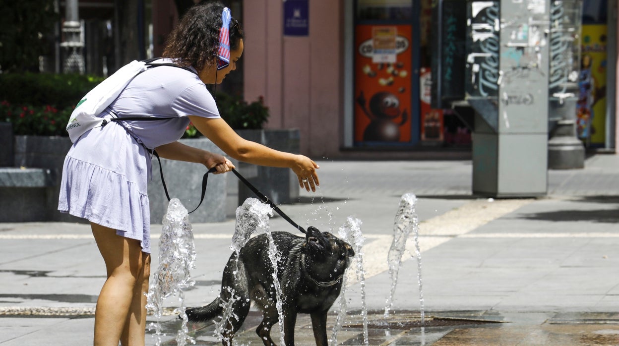 El tiempo en Córdoba | Último día de 'alivio' térmico antes de otro repunte de máximas