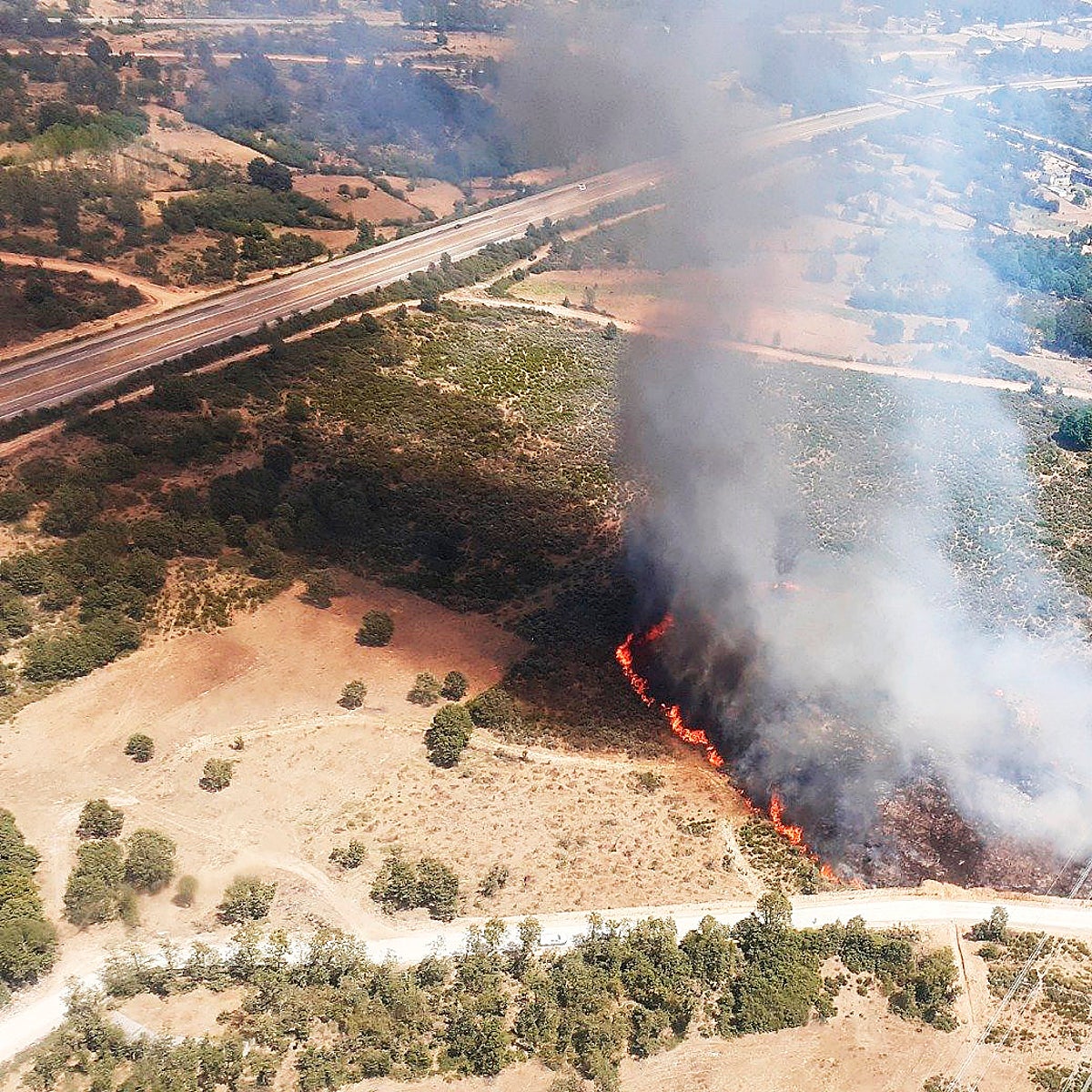Un incendio obliga a cortar una autovía en Zamora