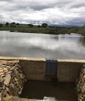 Imagen secundaria 2 - Estado actual del manantial y cómo se encontraba hace un par de años