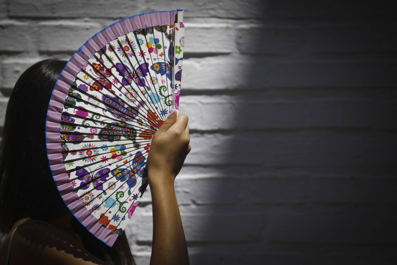 El reto de la eficiencia energética en Córdoba, en imágenes