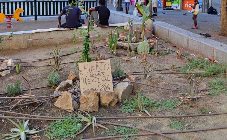 Vecinos de Lavapiés reclaman al Ayuntamiento vallas para proteger el huerto urbano durante las fiestas de San Lorenzo