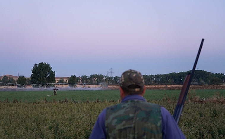 La caza arranca con una media veda que será «floja» por el calor y la sequía