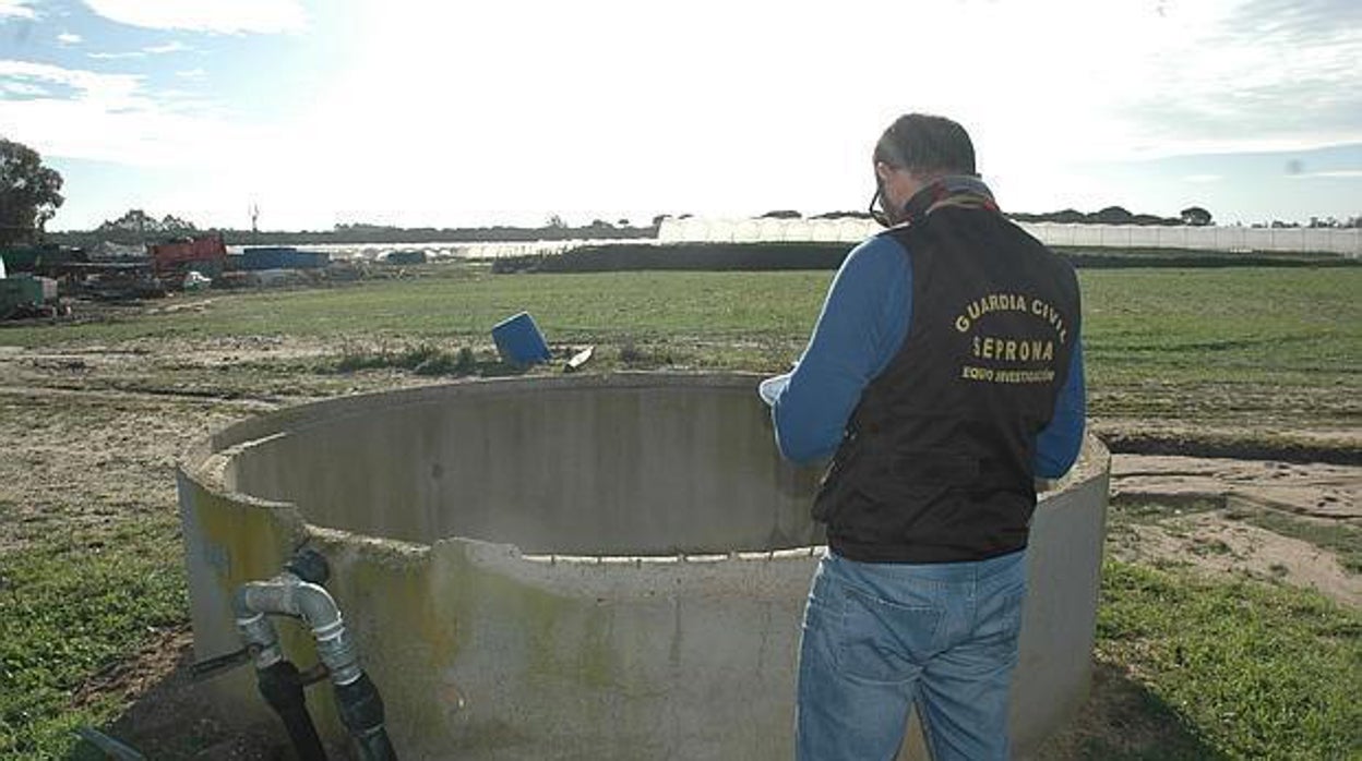 Los regantes cierran siete pozos en el entorno de Doñana