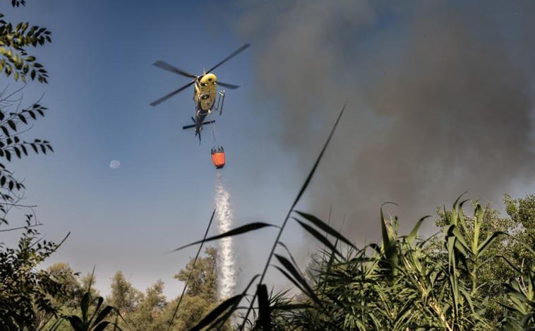 Se declara un incendio en una isla del Tajo cercana a la Peraleda durante los fuegos artificiales