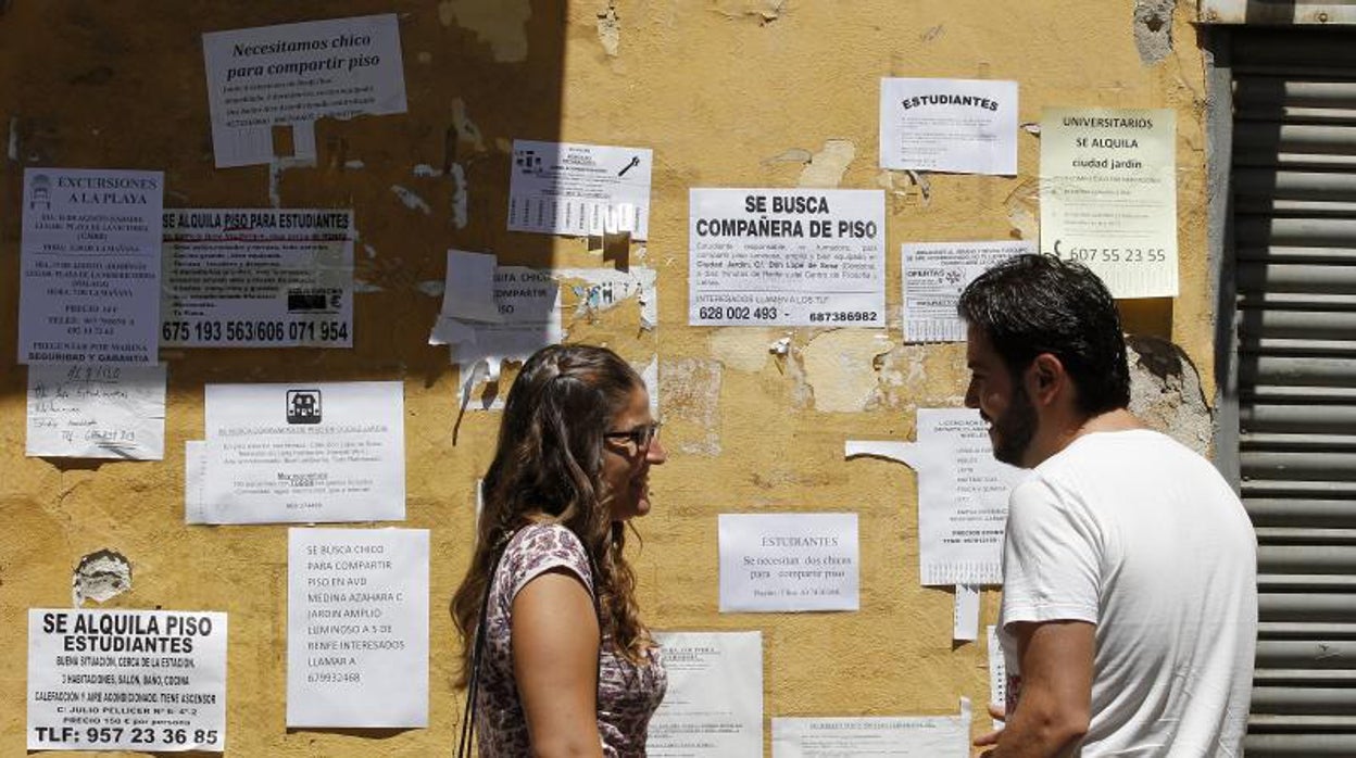 Córdoba, segunda provincia del país con mayor alza de la oferta de pisos compartidos