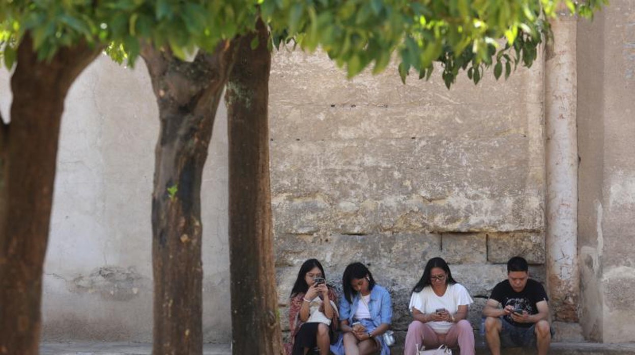 El tiempo en Córdoba | Las temperaturas suben ligeramente hasta los 36 grados