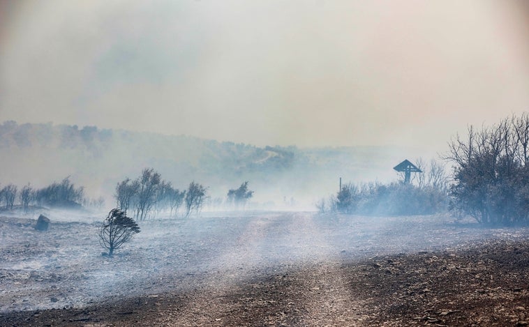 Incendio Bejís: detectan a vecinos regresando sin permiso a los pueblos desalojados por el fuego