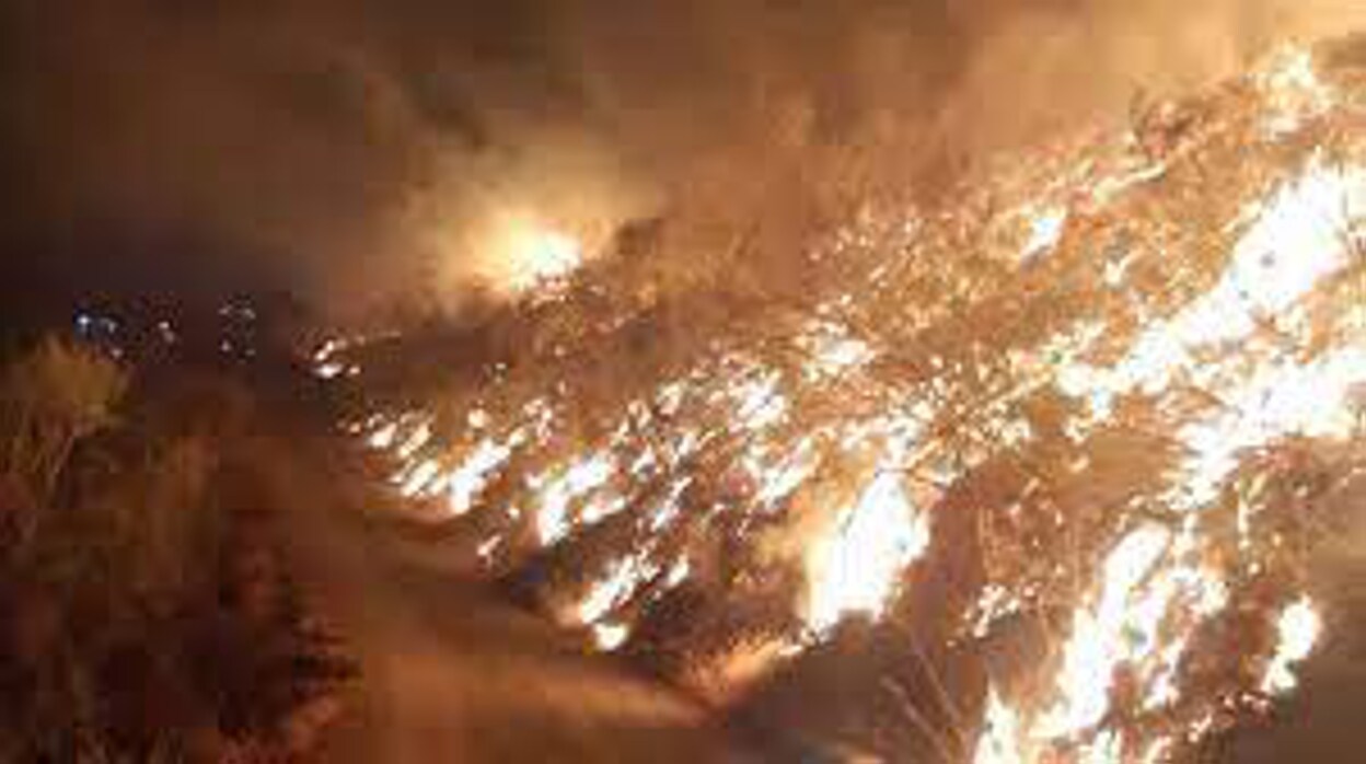 Estabilizado el incendio forestal declarado en Casabermeja