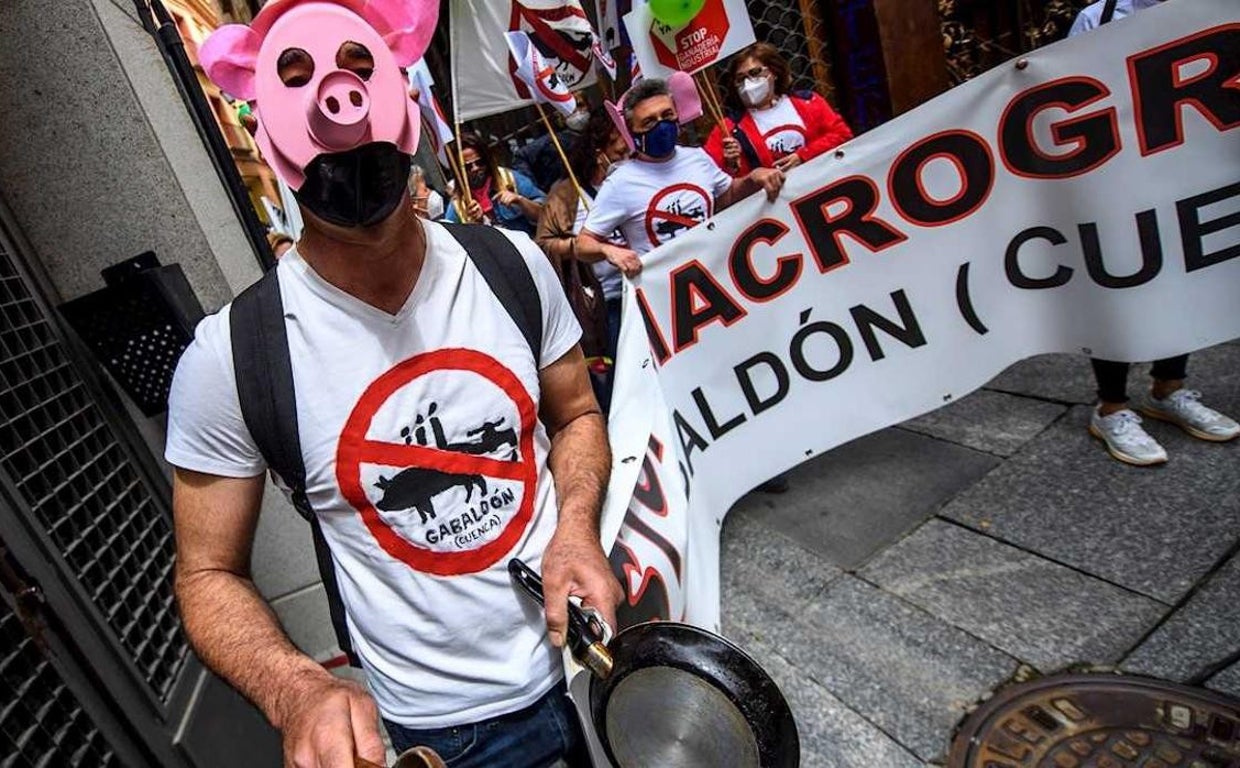 Los pueblos de la Alcarria conquense marchan este sábado para protestar contra las macrogranjas