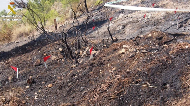 Terrenos calcinados por el fuego en Petrer, un total de 70 hectáreas