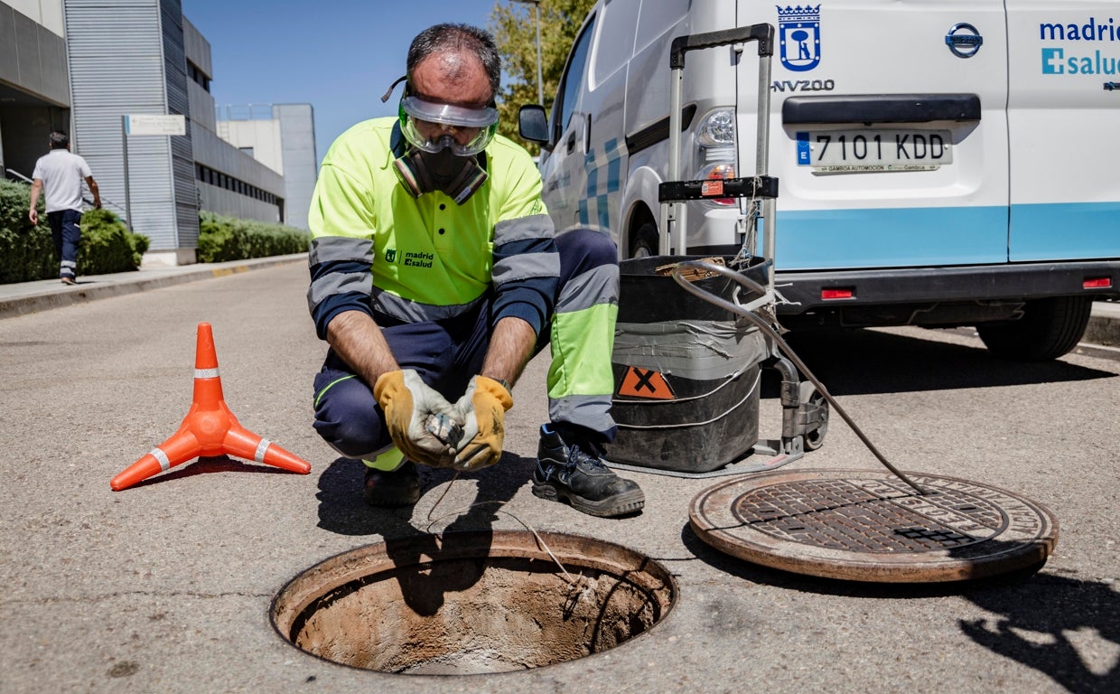 En la imagen, un operario inspecciona un cebo raticida