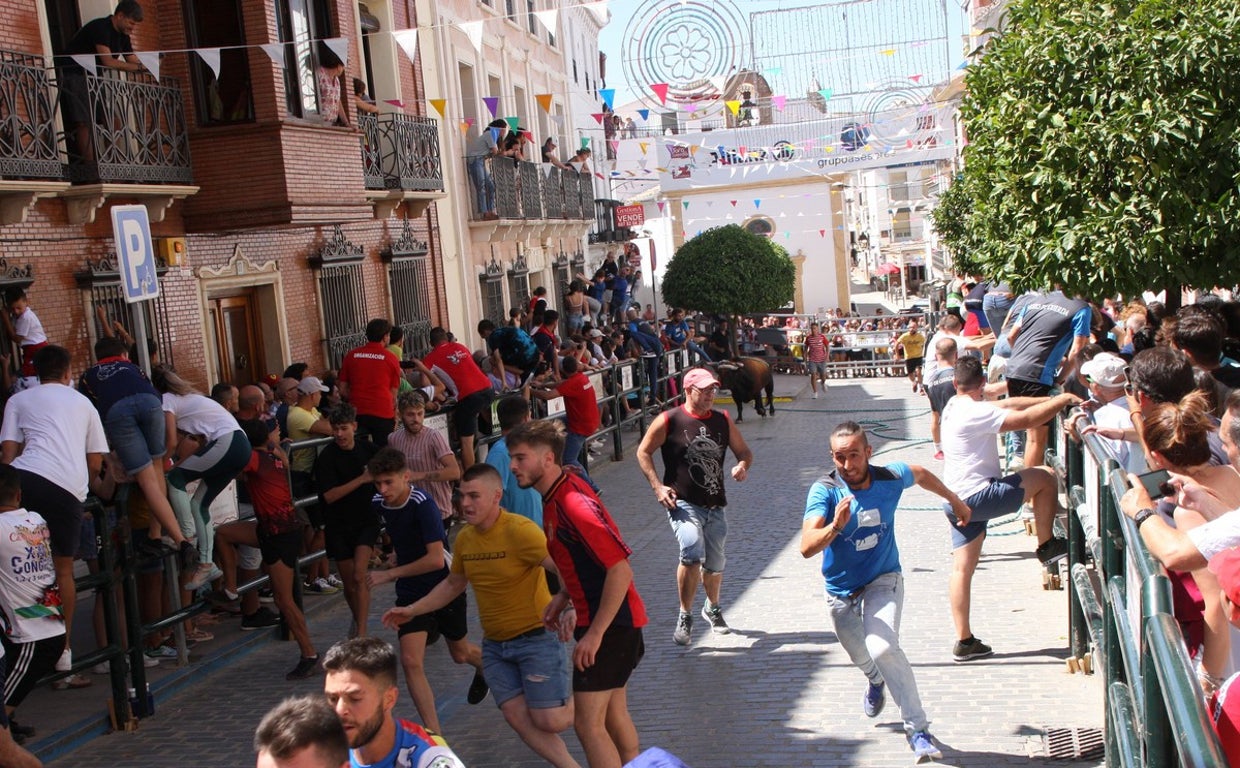 Imágenes del toro de cuerda este sábado en Carcabuey