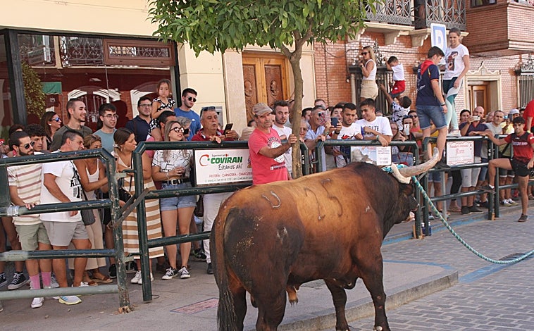 Imagen principal - Imágenes del toro de cuerda este sábado en la Subbética