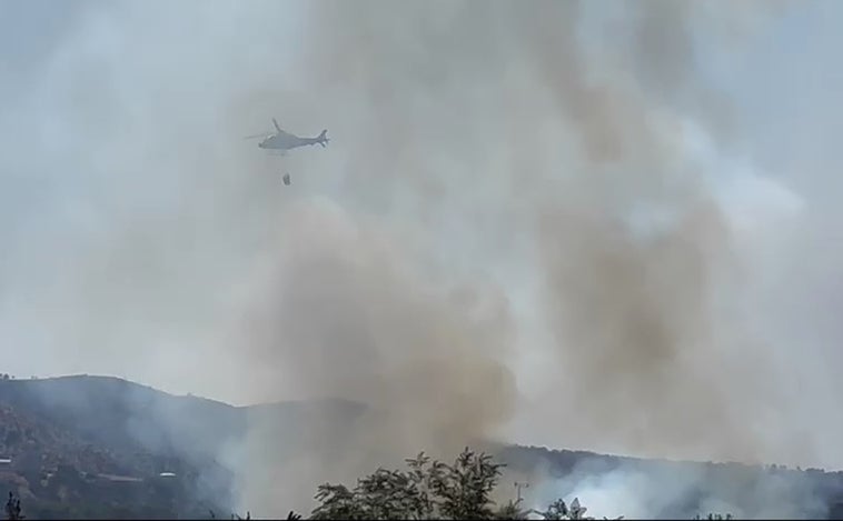 Se reaviva el fuego que se produjo hace seis días en una isla del Tajo en Toledo