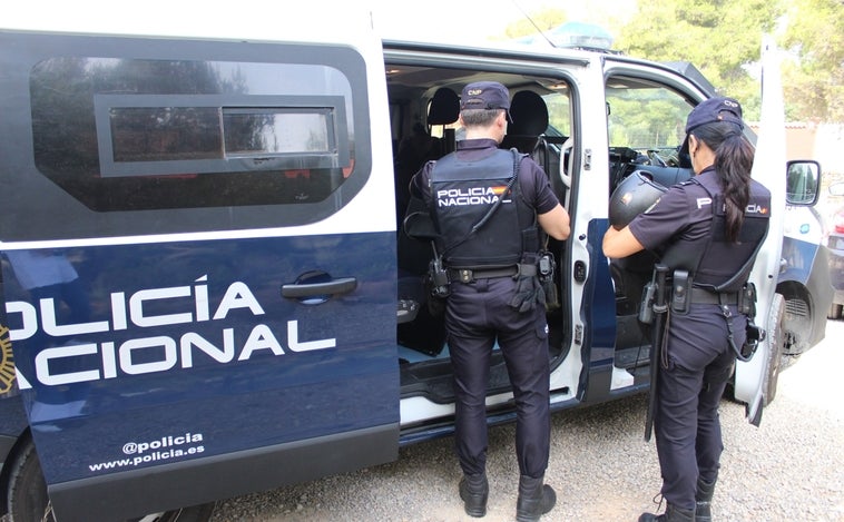 Desmantelan una plantación de marihuana en el interior de una vivienda en Torrent