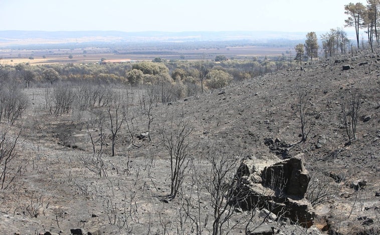 Castilla y León, con 40 incendios, a la cabeza en zonas castastróficas