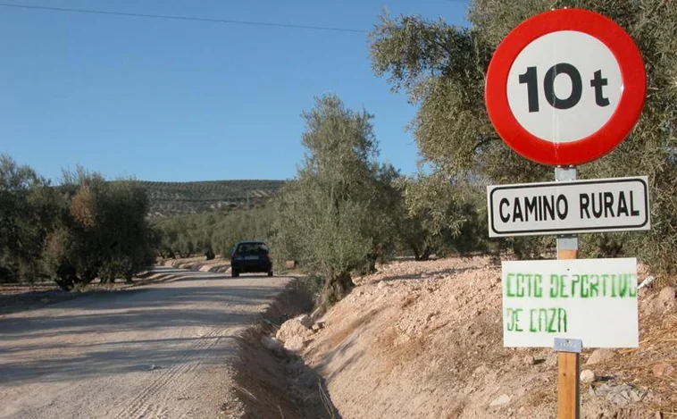 La Diputación de Alicante incrementa un 223% las ayudas para iluminar caminos agrícolas