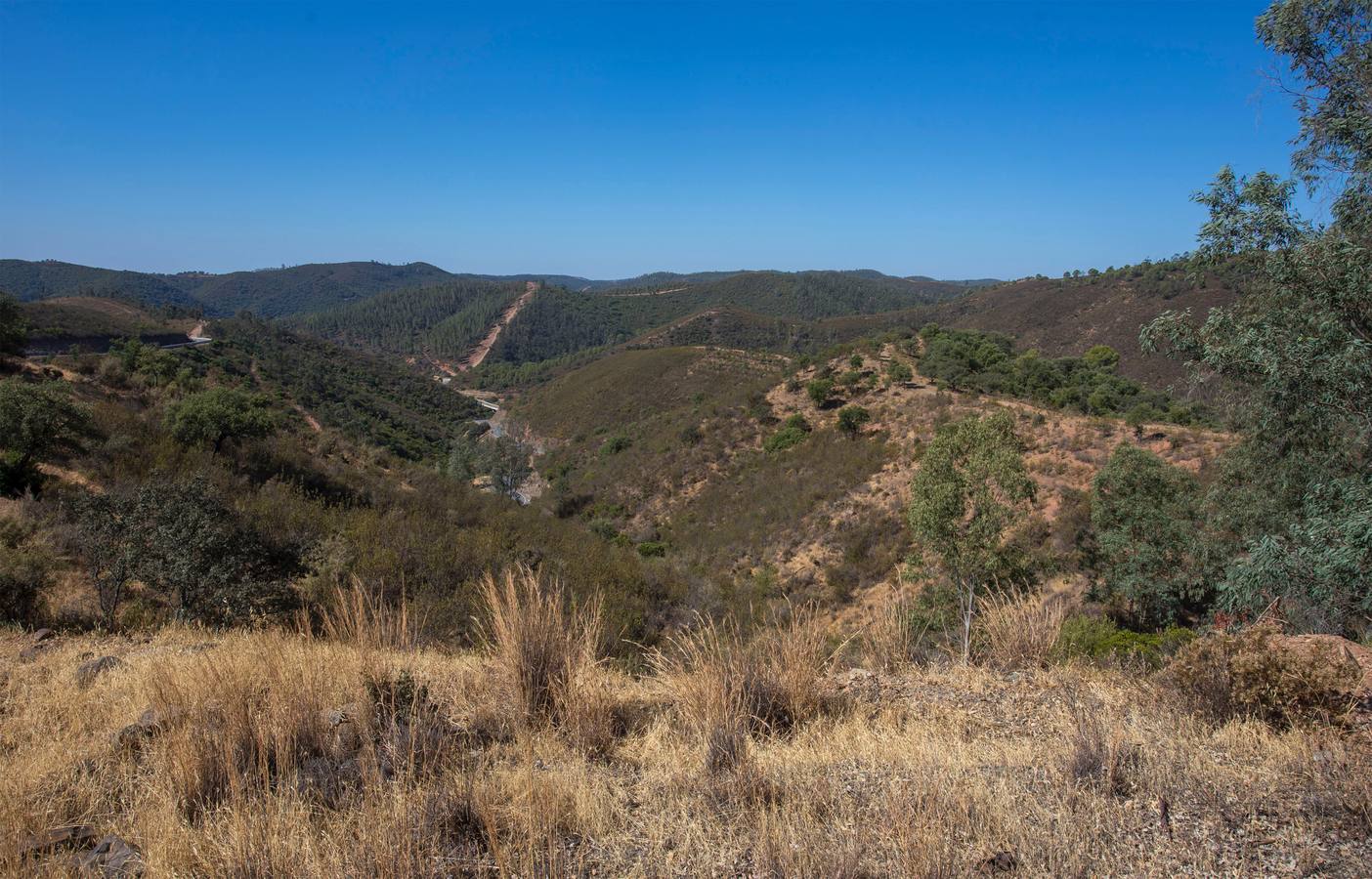 Reportaje gráfico sobre la situación de la población onubense de Berrocal transcurridos 18 años desde que sufriera un devastador incendio que afectó a su principal sustento económico