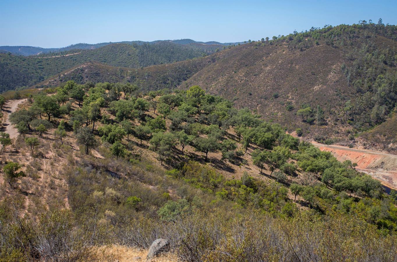 Reportaje gráfico sobre la situación de la población onubense de Berrocal transcurridos 18 años desde que sufriera un devastador incendio que afectó a su principal sustento económico