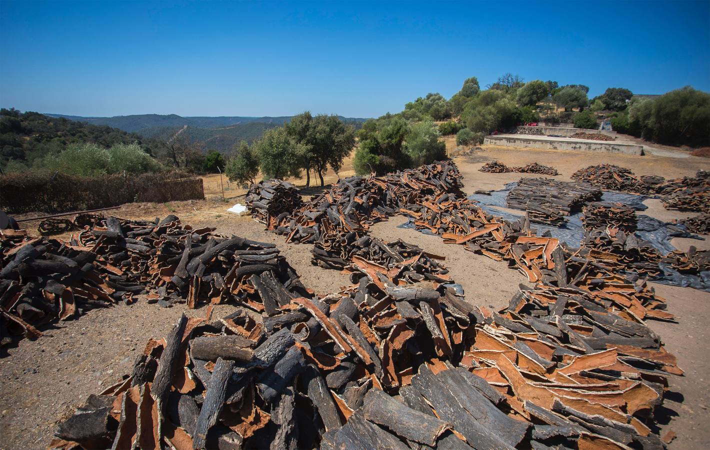 Reportaje gráfico sobre la situación de la población onubense de Berrocal transcurridos 18 años desde que sufriera un devastador incendio que afectó a su principal sustento económico