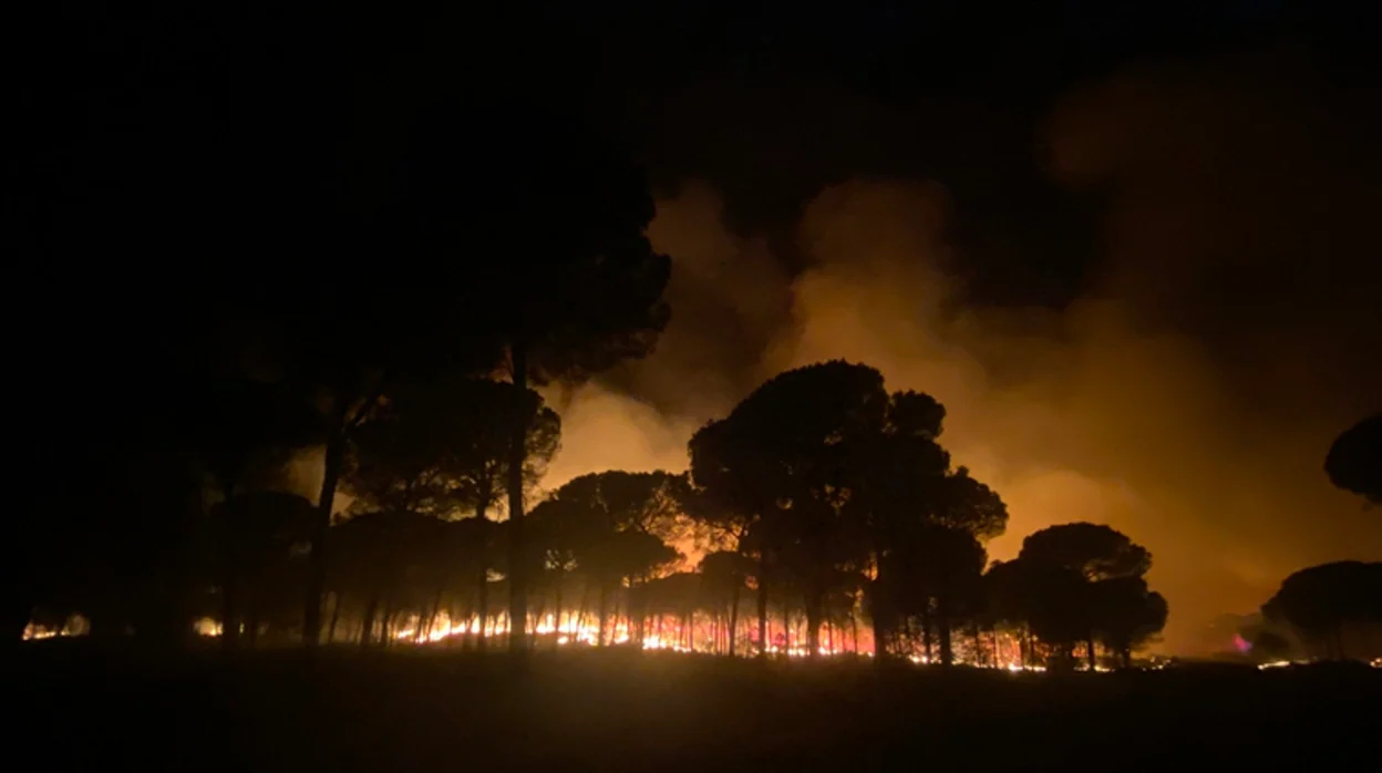 Las áreas arrasadas por el fuego en Bonares y Almonte, declaradas zona catastrófica