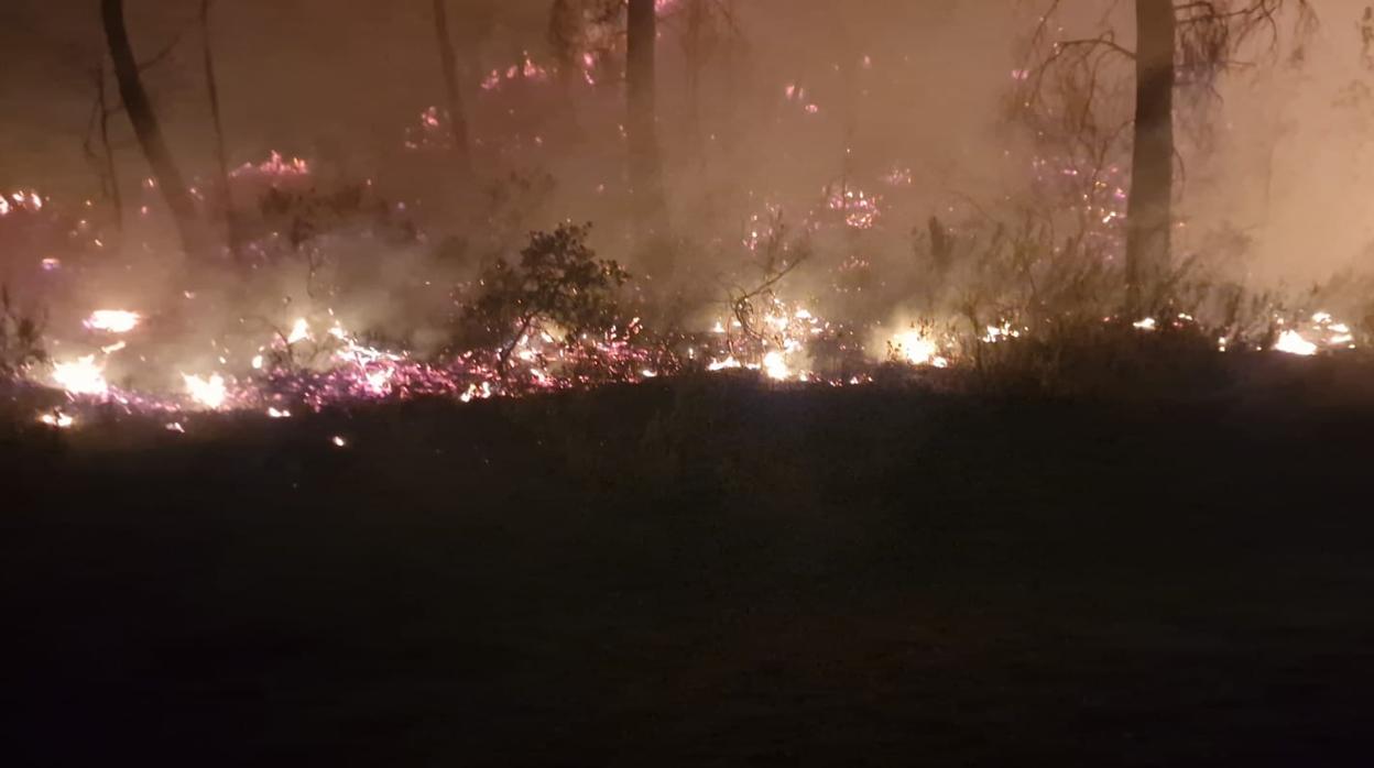 Apagan las llamas en los seis focos del incendio de Benatae