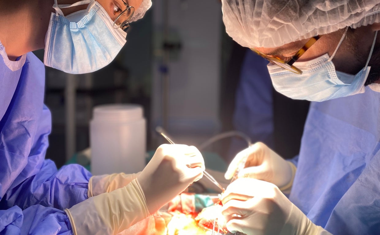 Imagen de un transplante renal realizado este año en el Reina Sofía