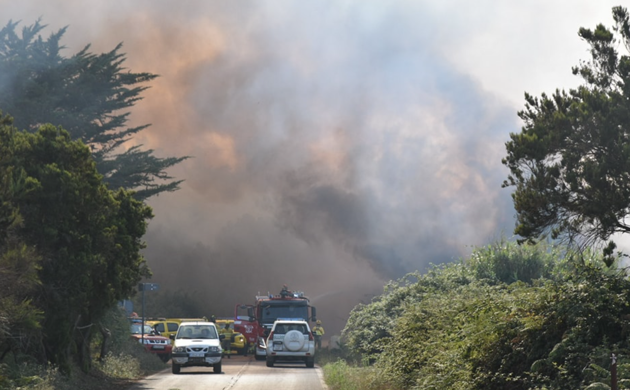 Columna de humo del incendio declarado en el Camino Guillén