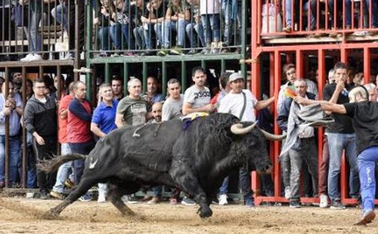 Una fiesta de 'bous al carrer' en la Comunidad Valenciana