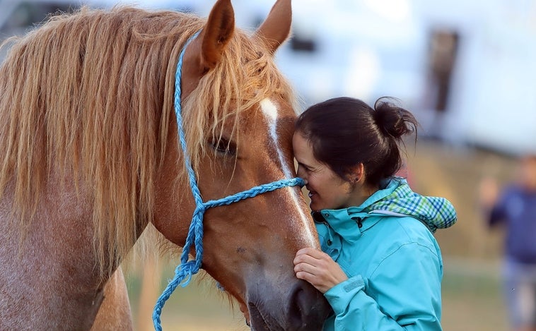 El caballo hispano bretón vuelve a San Emiliano de Babia (León) dos años después