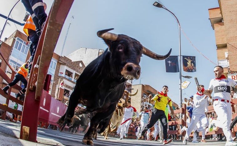 Muere un hombre de una cornada en los encierros de Alalpardo (Madrid)