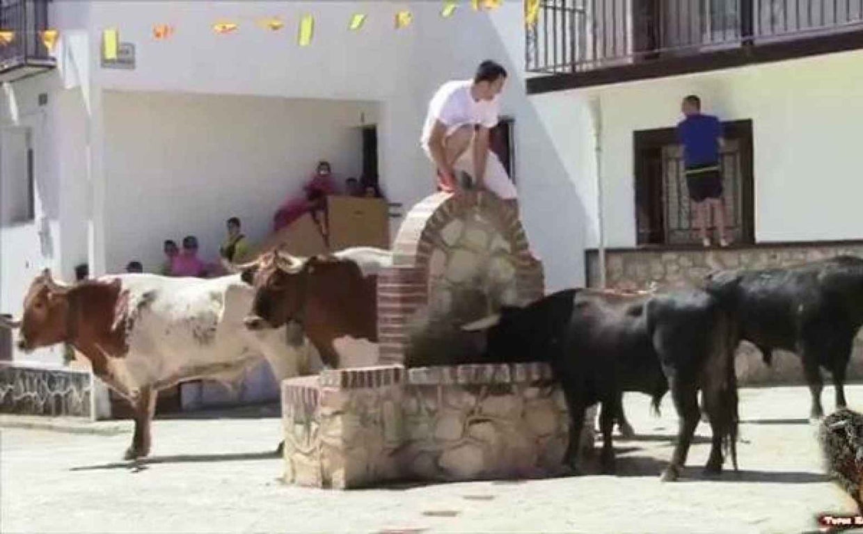 Herido tras ser embestido por un cabestro un hombre de 40 años en un festejo taurino en Atanzón