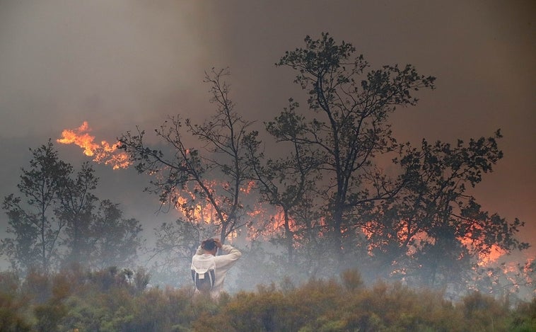 Reactivado el flanco izquierdo del incendio del campo de tiro del Teleno