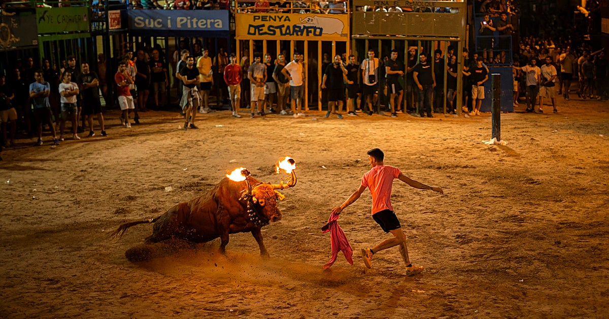 159 años, un tren, los toros y el sentido común