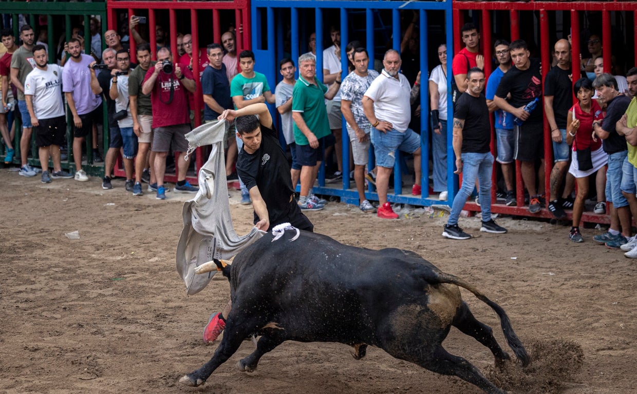 Bous al carrer: Ximo Puig aboga por la «autonomía municipal» ante el debate sobre el fin de los festejos taurinos