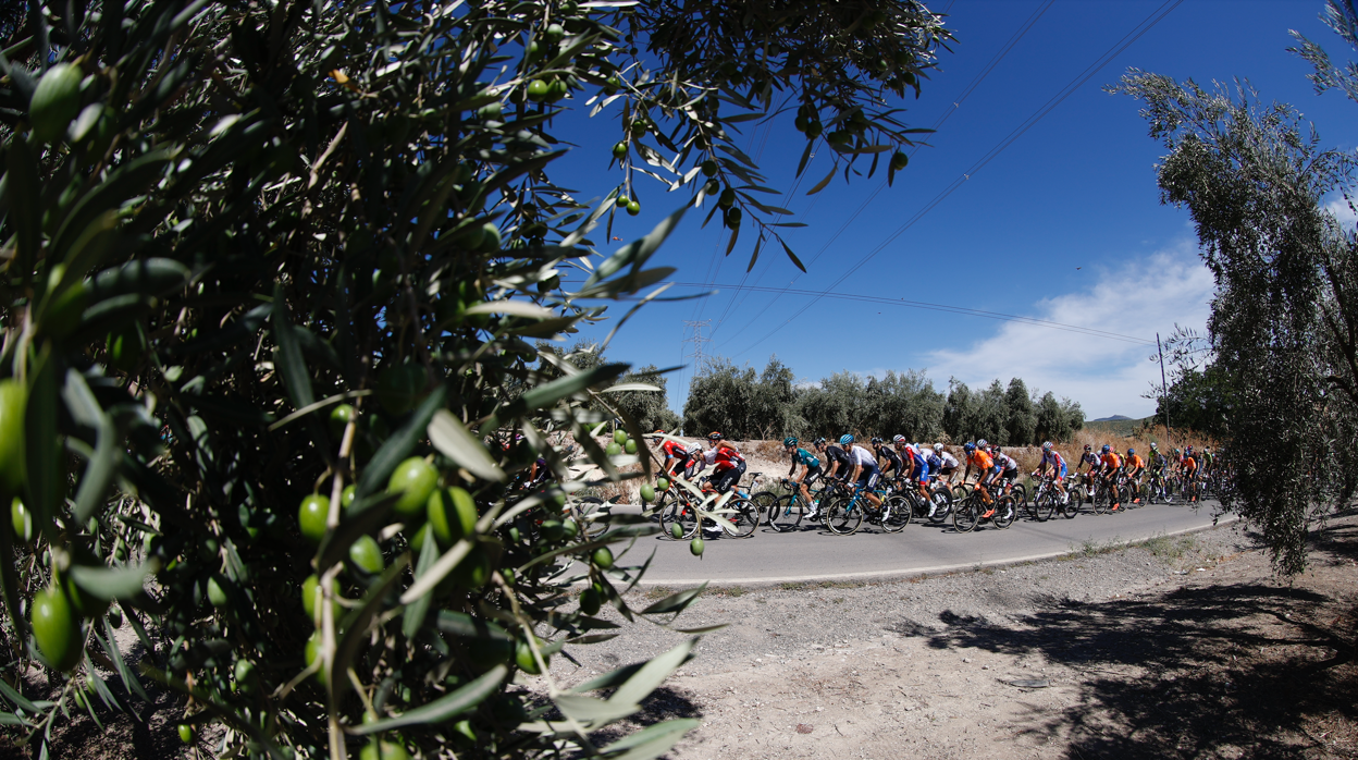 Montilla se vuelca con la Vuelta a España