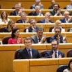 El PP convierte el Senado en su base de operaciones con siete miembros de la dirección nacional